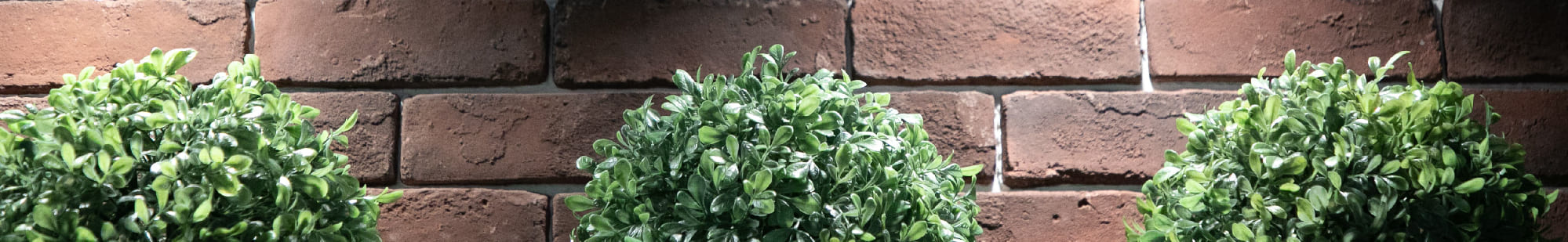 よくあるご質問